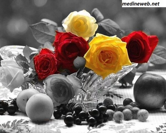 �sim:  g�zel resim 24.jpg
G�r�nt�leme: 96
B�y�kl�k:  92,6 KB (Kilobyte)