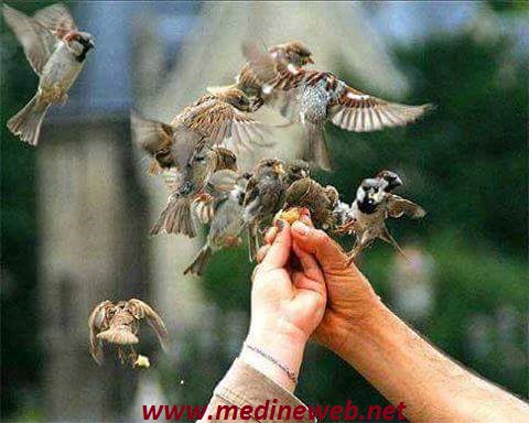 �sim:  1.jpg
G�r�nt�leme: 105
B�y�kl�k:  60,4 KB (Kilobyte)