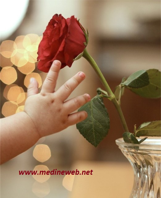 �sim:  al.jpg
G�r�nt�leme: 92
B�y�kl�k:  69,2 KB (Kilobyte)