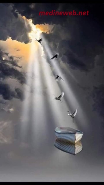 �sim:  1.jpg
G�r�nt�leme: 77
B�y�kl�k:  35,3 KB (Kilobyte)