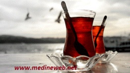 �sim:  23.jpg
G�r�nt�leme: 127
B�y�kl�k:  19,4 KB (Kilobyte)