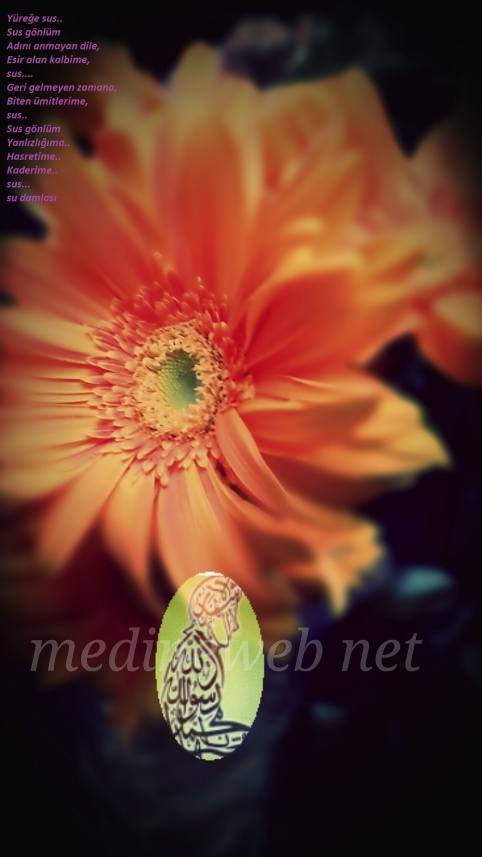 �sim:  02.jpg
G�r�nt�leme: 71
B�y�kl�k:  88,8 KB (Kilobyte)