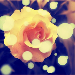 �sim:  s1.jpg
G�r�nt�leme: 107
B�y�kl�k:  26,5 KB (Kilobyte)