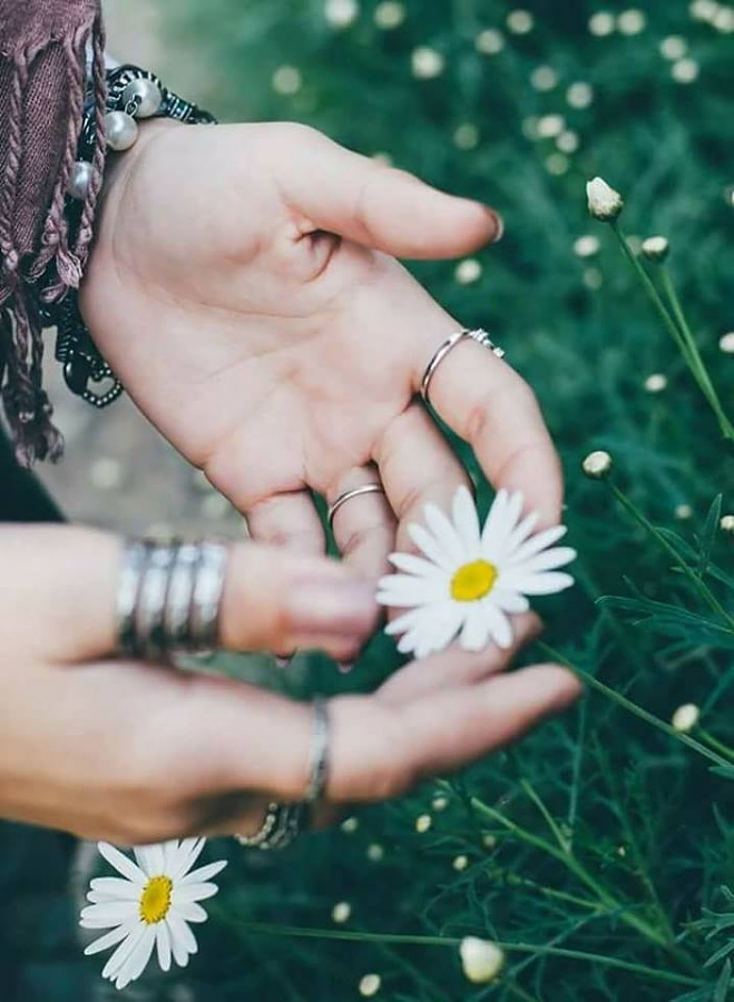 -21078443_170982460137601_6034330347943952856_njpg