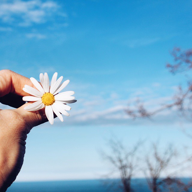 �sim:  s3.jpg
G�r�nt�leme: 98
B�y�kl�k:  58,0 KB (Kilobyte)