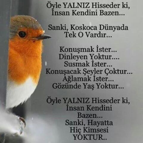 �sim:  c2.jpg
G�r�nt�leme: 140
B�y�kl�k:  60,2 KB (Kilobyte)