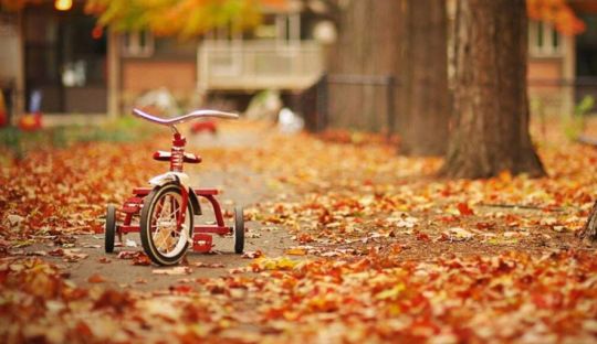 �sim:  x1.jpg
G�r�nt�leme: 102
B�y�kl�k:  35,5 KB (Kilobyte)