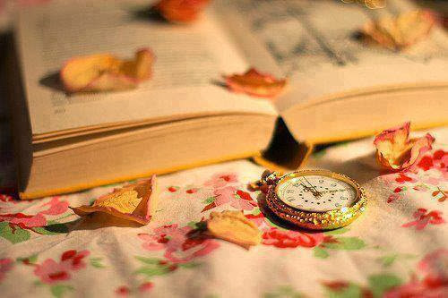 �sim:  14.jpg
G�r�nt�leme: 117
B�y�kl�k:  47,8 KB (Kilobyte)