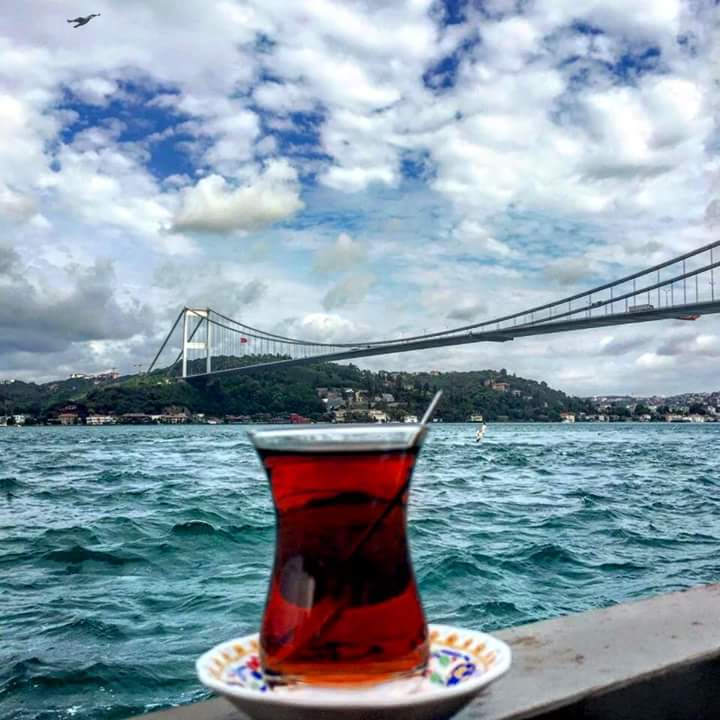 �sim:  17.jpg
G�r�nt�leme: 101
B�y�kl�k:  61,9 KB (Kilobyte)