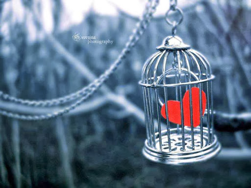 �sim:  e1.jpg
G�r�nt�leme: 109
B�y�kl�k:  51,4 KB (Kilobyte)