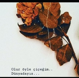 �sim:  762F0744-A224-494D-9D41-6987001A392C.jpeg
G�r�nt�leme: 65
B�y�kl�k:  37,9 KB (Kilobyte)