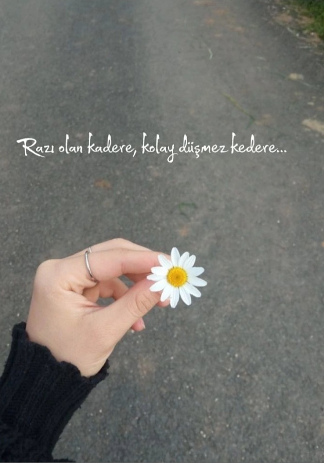 -img_20251105_232322jpg