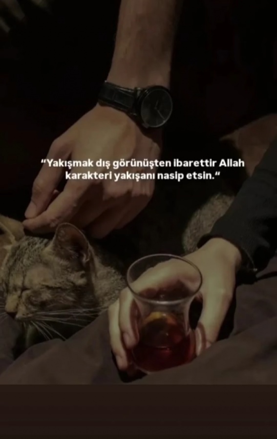 -img_20260131_163626jpg