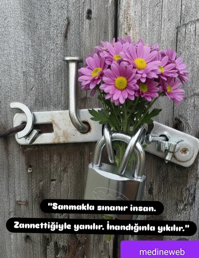 -img_20260215_214843jpg