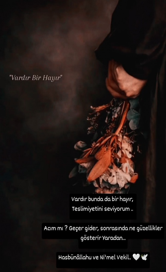 -img_20260403_130344jpg