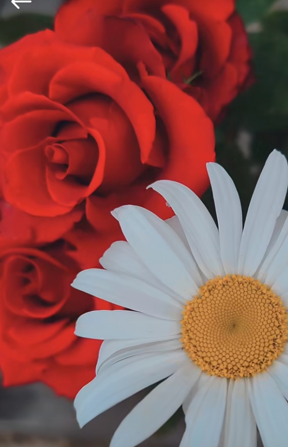 -img_20260426_204511jpg