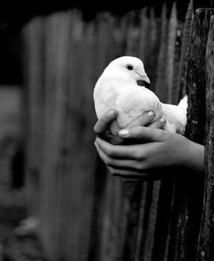 �sim:  bc.jpg
G�r�nt�leme: 103
B�y�kl�k:  22,8 KB (Kilobyte)