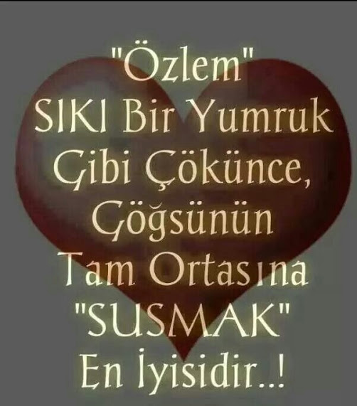 �sim:  ce.jpg
G�r�nt�leme: 94
B�y�kl�k:  54,3 KB (Kilobyte)