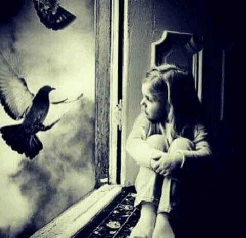 �sim:  13.jpg
G�r�nt�leme: 83
B�y�kl�k:  24,9 KB (Kilobyte)