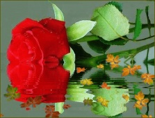 �sim:  alc.jpg
G�r�nt�leme: 76
B�y�kl�k:  21,0 KB (Kilobyte)