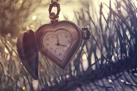 �sim:  11.jpg
G�r�nt�leme: 86
B�y�kl�k:  20,0 KB (Kilobyte)