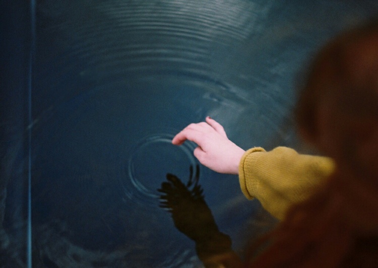 �sim:  1.jpg
G�r�nt�leme: 70
B�y�kl�k:  95,9 KB (Kilobyte)