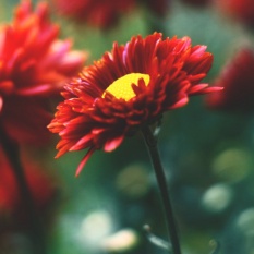 �sim:  xa.jpg
G�r�nt�leme: 85
B�y�kl�k:  18,3 KB (Kilobyte)