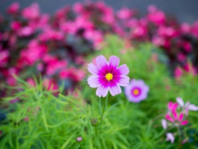 �sim:  12.jpg
G�r�nt�leme: 84
B�y�kl�k:  30,2 KB (Kilobyte)