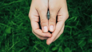 �sim:  yu.jpg
G�r�nt�leme: 147
B�y�kl�k:  20,8 KB (Kilobyte)