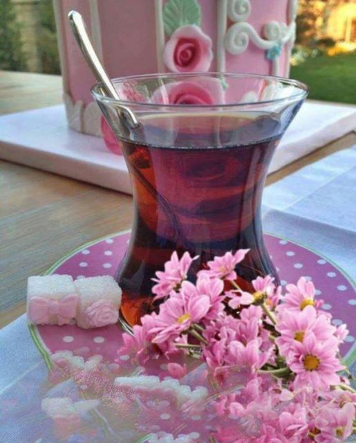 �sim:  1a.jpg
G�r�nt�leme: 81
B�y�kl�k:  55,1 KB (Kilobyte)