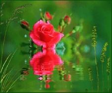 �sim:  1e.jpg
G�r�nt�leme: 97
B�y�kl�k:  20,4 KB (Kilobyte)