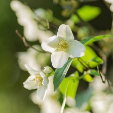 �sim:  19.jpg
G�r�nt�leme: 89
B�y�kl�k:  18,5 KB (Kilobyte)