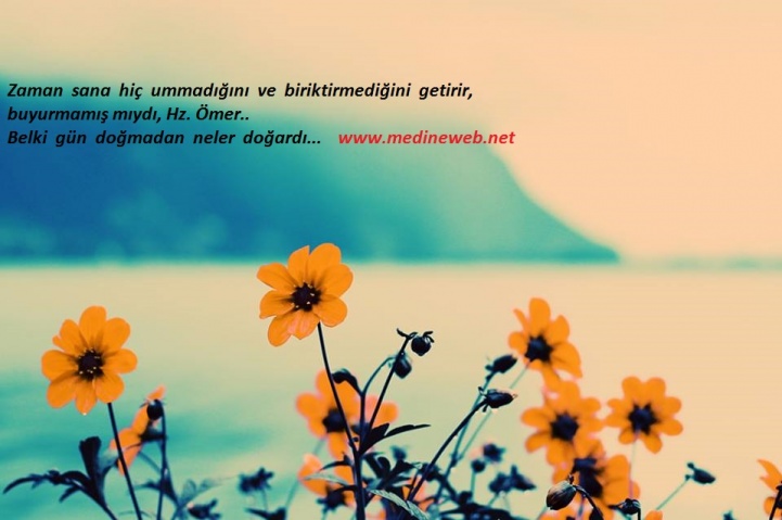 sim:  resimli szler 9. sayfa zaman sana hi ummadn ve biriktirmediini getirir,buyurmam myd h.jpg
Grntleme: 77
Byklk:  86,3 KB (Kilobyte)