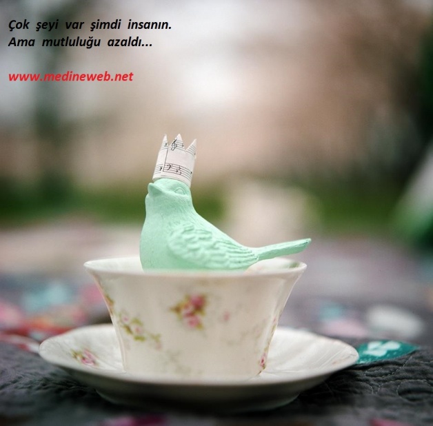 �sim:  resimli s�zler 13. dayfa �ok �eyi var �idi insan�n ama mutlul�u azald�.jpg
G�r�nt�leme: 82
B�y�kl�k:  85,0 KB (Kilobyte)