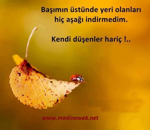 sim:  al.jpg
Grntleme: 98
Byklk:  56,0 KB (Kilobyte)
