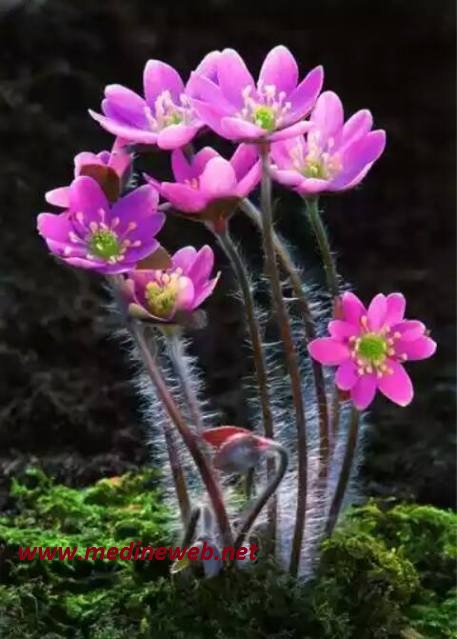 �sim:  az.jpg
G�r�nt�leme: 99
B�y�kl�k:  76,2 KB (Kilobyte)