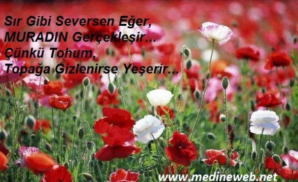 �sim:  Ch10AAZWMAIU2ko.jpg
G�r�nt�leme: 111
B�y�kl�k:  100,7 KB (Kilobyte)