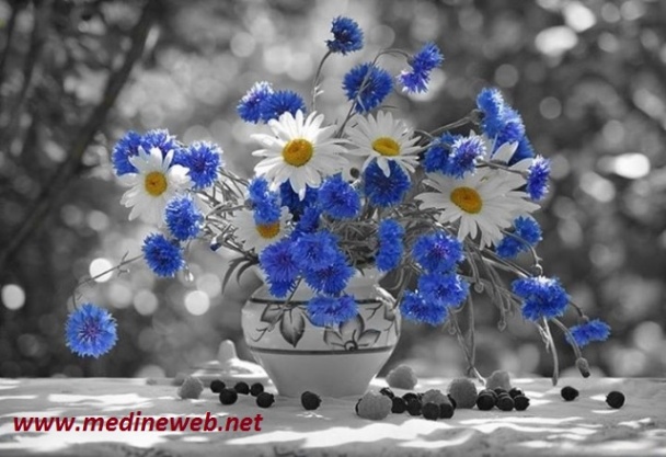 sim:  7.jpg
Grntleme: 87
Byklk:  93,6 KB (Kilobyte)