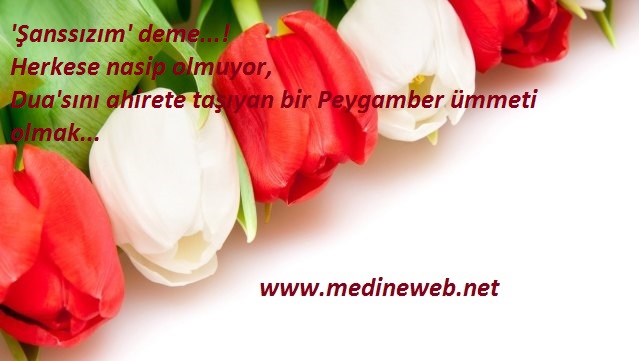 �sim:  24.jpg
G�r�nt�leme: 103
B�y�kl�k:  58,3 KB (Kilobyte)