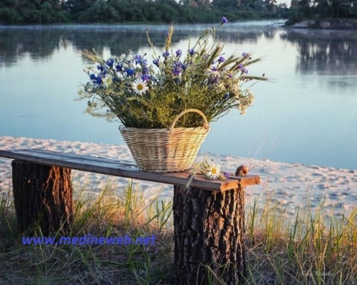 �sim:  4.jpg
G�r�nt�leme: 84
B�y�kl�k:  96,6 KB (Kilobyte)