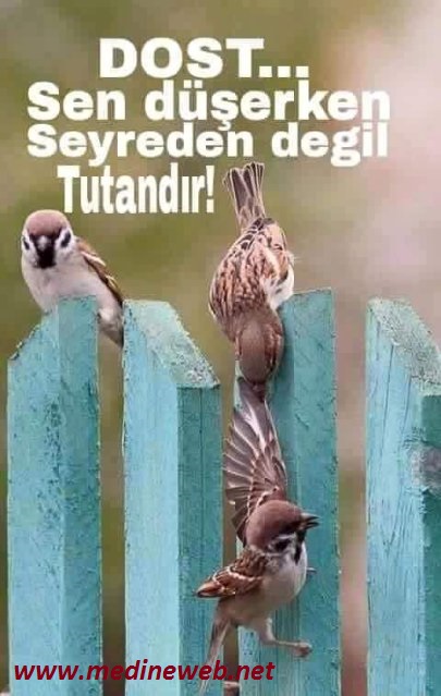 �sim:  nyl.jpg
G�r�nt�leme: 99
B�y�kl�k:  77,5 KB (Kilobyte)