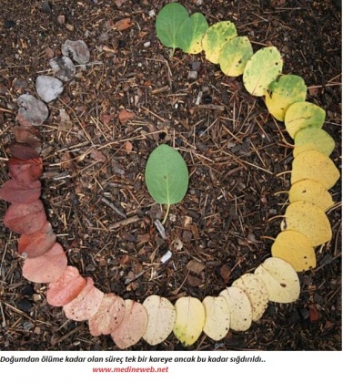 �sim:  Clqj-0jWYAAWFTf.jpg
G�r�nt�leme: 72
B�y�kl�k:  99,1 KB (Kilobyte)