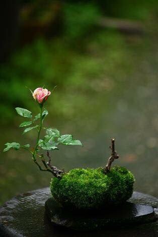 �sim:  3.jpg
G�r�nt�leme: 140
B�y�kl�k:  17,4 KB (Kilobyte)