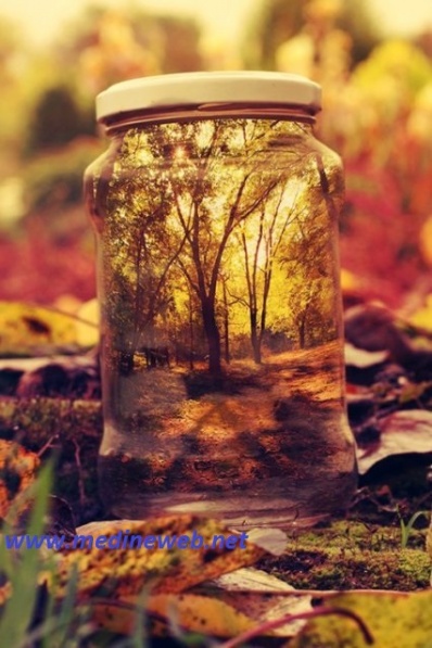 �sim:  aa.jpg
G�r�nt�leme: 77
B�y�kl�k:  97,1 KB (Kilobyte)