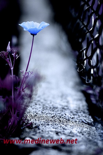 �sim:  ret.jpg
G�r�nt�leme: 85
B�y�kl�k:  90,8 KB (Kilobyte)