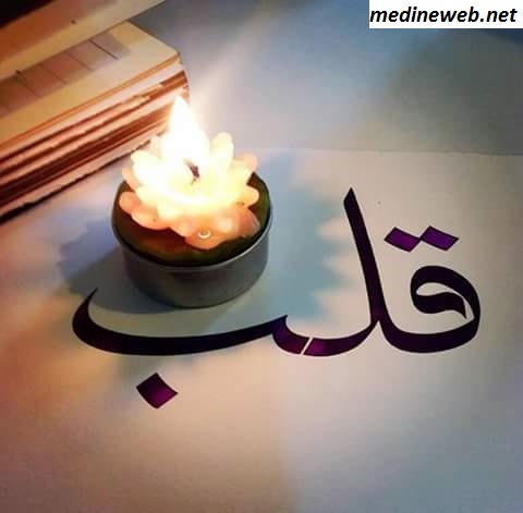 �sim:  kalp.jpg
G�r�nt�leme: 80
B�y�kl�k:  36,9 KB (Kilobyte)