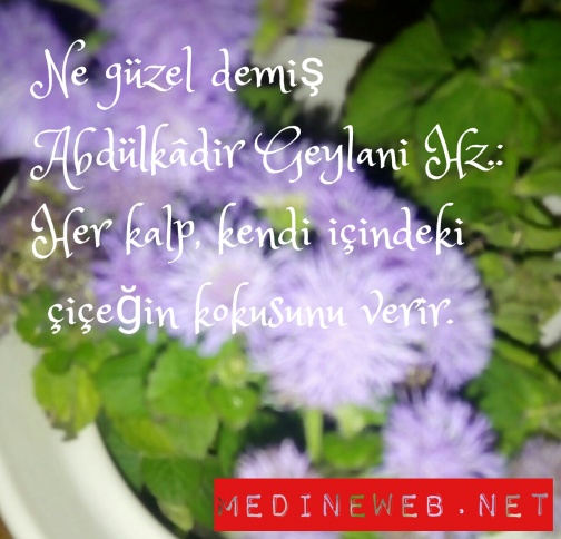 �sim:  1476696225789.jpg
G�r�nt�leme: 93
B�y�kl�k:  86,7 KB (Kilobyte)