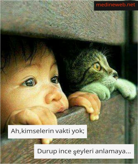 sim:  1480337735131.jpg
Grntleme: 50
Byklk:  93,6 KB (Kilobyte)