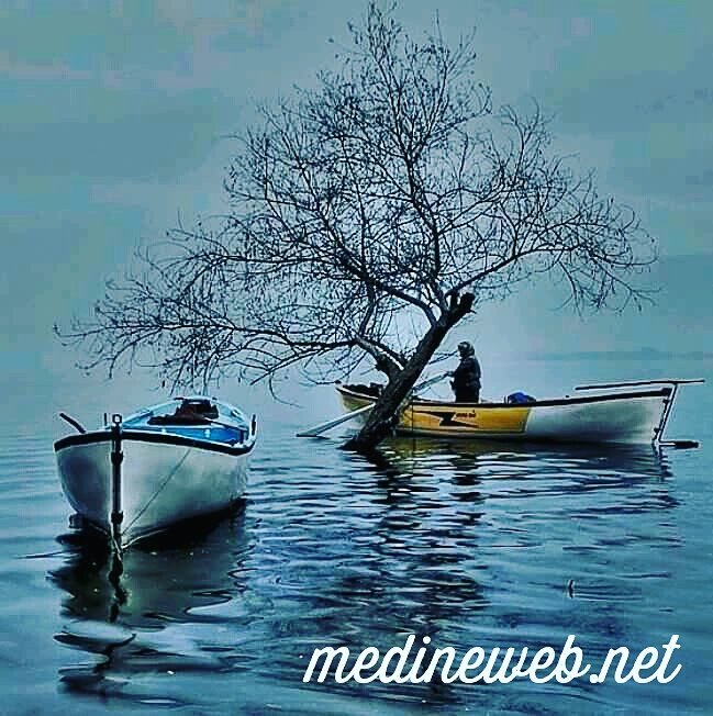 �sim:  C0nUq3mXcAEsVsq.jpg
G�r�nt�leme: 132
B�y�kl�k:  94,8 KB (Kilobyte)