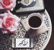 �sim:  g�zel res.jpg
G�r�nt�leme: 68
B�y�kl�k:  20,8 KB (Kilobyte)